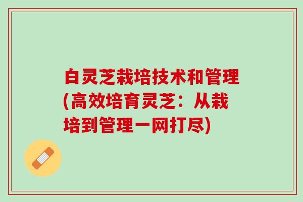 白灵芝栽培技术和管理(高效培育灵芝：从栽培到管理一网打尽)