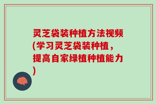 灵芝袋装种植方法视频(学习灵芝袋装种植，提高自家绿植种植能力)