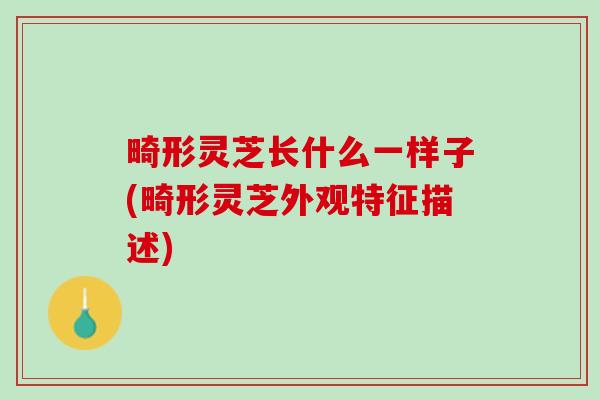 畸形灵芝长什么一样子(畸形灵芝外观特征描述) 畸形灵芝长什么一样子(畸形灵芝外观特征描述)