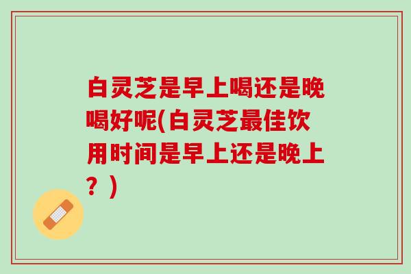 白灵芝是早上喝还是晚喝好呢(白灵芝最佳饮用时间是早上还是晚上？)