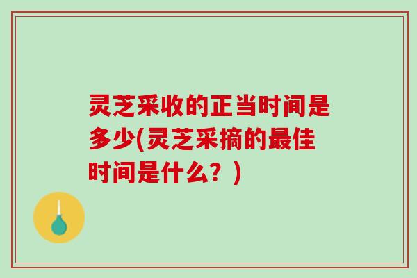 灵芝采收的正当时间是多少(灵芝采摘的佳时间是什么？)