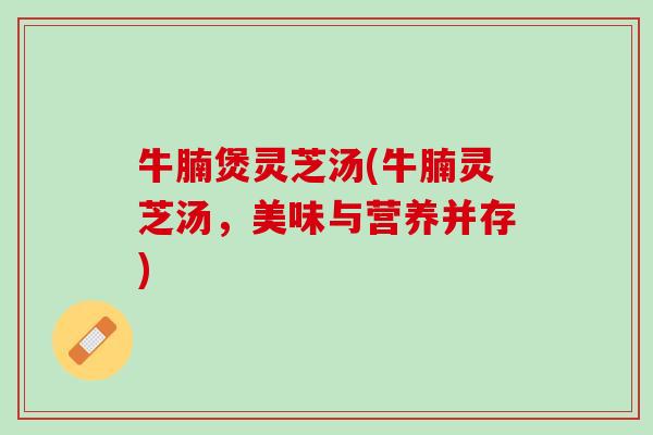 牛腩煲灵芝汤(牛腩灵芝汤，美味与营养并存)