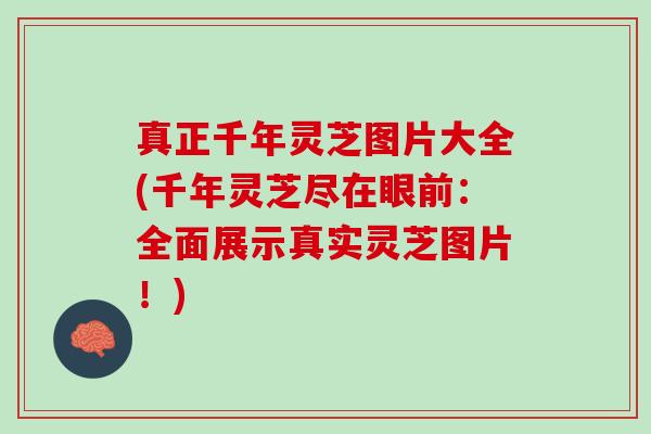真正千年灵芝图片大全(千年灵芝尽在眼前：全面展示真实灵芝图片！)