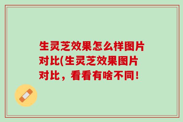 生灵芝效果怎么样图片对比(生灵芝效果图片对比，看看有啥不同！