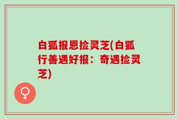 白狐报恩捡灵芝(白狐行善遇好报:奇遇捡灵芝) 白狐报恩捡灵芝(白狐行善遇好报:奇遇捡灵芝)