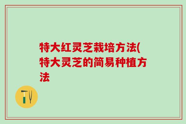 特大红灵芝栽培方法(特大灵芝的简易种植方法