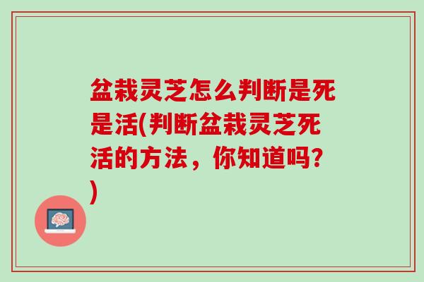 盆栽灵芝怎么判断是死是活(判断盆栽灵芝死活的方法，你知道吗？)