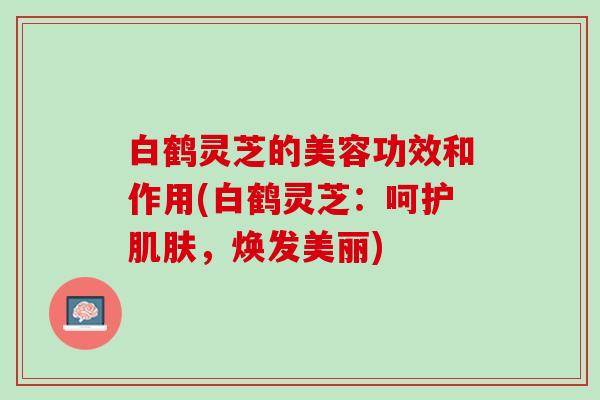 白鹤灵芝的美容功效和作用(白鹤灵芝：呵护肌肤，焕发美丽)