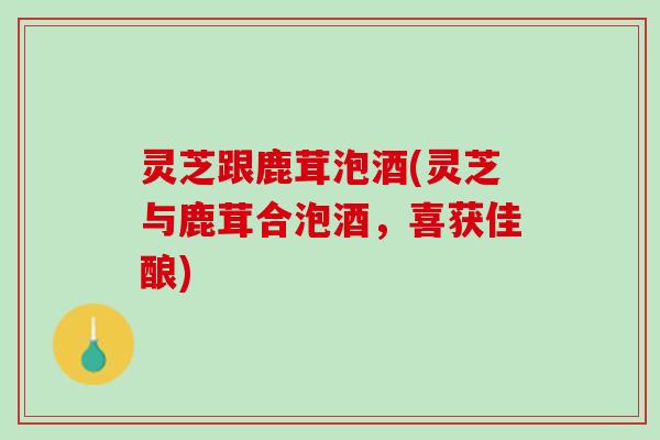 灵芝跟鹿茸泡酒(灵芝与鹿茸合泡酒，喜获佳酿)