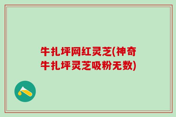 牛扎坪网红灵芝(神奇牛扎坪灵芝吸粉无数) 牛扎坪网红灵芝(神奇牛扎坪灵芝吸粉无数)
