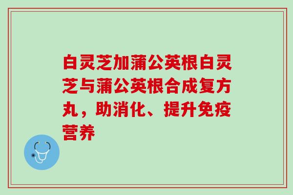白灵芝加蒲公英根白灵芝与蒲公英根合成复方丸，助消化、提升免疫营养