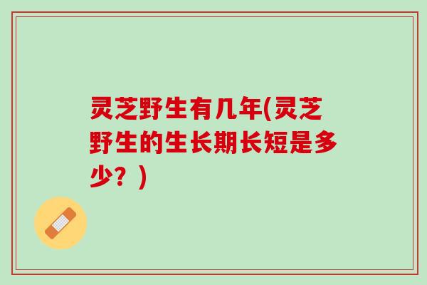 灵芝野生有几年(灵芝野生的生长期长短是多少？)