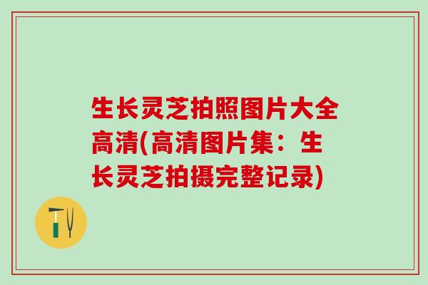 生长灵芝拍照图片大全高清(高清图片集：生长灵芝拍摄完整记录)