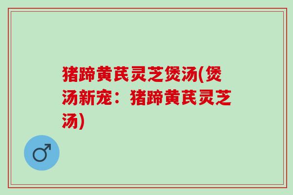 猪蹄黄芪灵芝煲汤(煲汤新宠:猪蹄黄芪灵芝汤) 猪蹄黄芪灵芝煲汤(煲汤新宠:猪蹄黄芪灵芝汤)