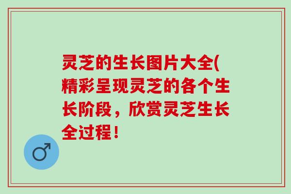 灵芝的生长图片大全(精彩呈现灵芝的各个生长阶段，欣赏灵芝生长全过程！