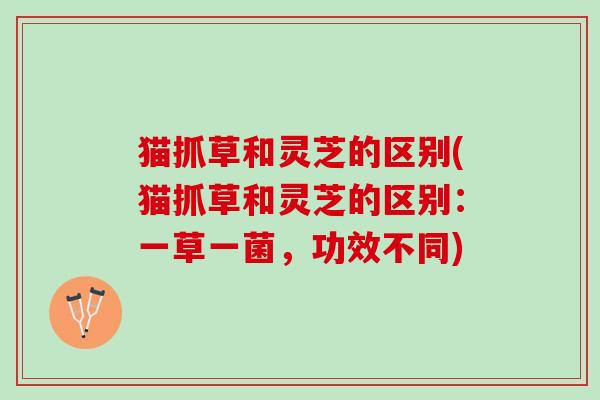 猫抓草和灵芝的区别(猫抓草和灵芝的区别：一草一菌，功效不同)
