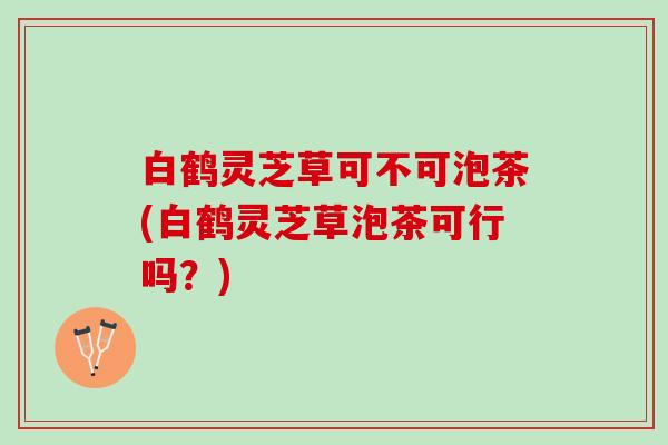 白鹤灵芝草可不可泡茶(白鹤灵芝草泡茶可行吗?) 白鹤灵芝草可不可泡茶(白鹤灵芝草泡茶可行吗?)