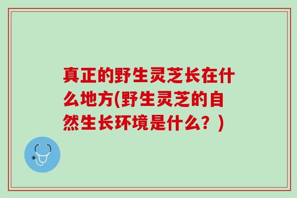 真正的野生灵芝长在什么地方(野生灵芝的自然生长环境是什么？)