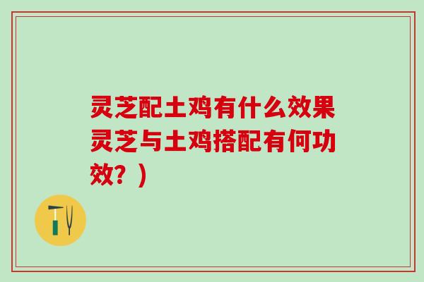 灵芝配土鸡有什么效果灵芝与土鸡搭配有何功效？)