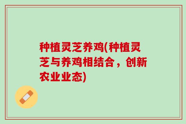种植灵芝养鸡(种植灵芝与养鸡相结合，创新农业业态)