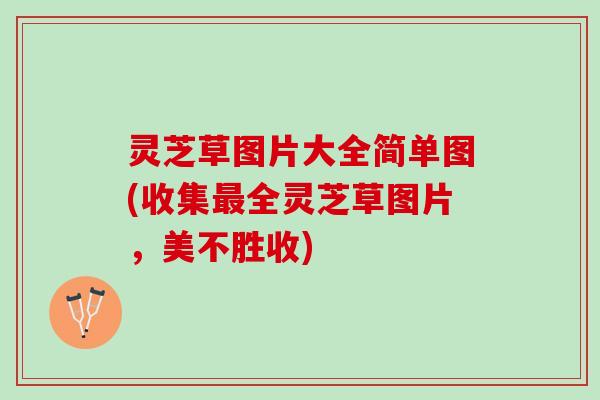 灵芝草图片大全简单图(收集全灵芝草图片,美不胜收) 灵芝草图片大全简单图(收集全灵芝草图片,美不胜收)