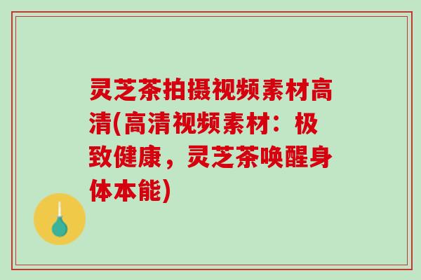 灵芝茶拍摄视频素材高清(高清视频素材：极致健康，灵芝茶唤醒身体本能)