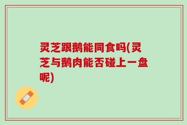 灵芝跟鹅能同食吗(灵芝与鹅肉能否碰上一盘呢)
