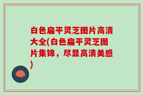 白色扁平灵芝图片高清大全(白色扁平灵芝图片集锦，尽显高清美感)