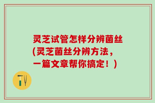 灵芝试管怎样分辨菌丝(灵芝菌丝分辨方法,一篇文章帮你搞定!) 灵芝试管怎样分辨菌丝(灵芝菌丝分辨方法,一篇文章帮你搞定!)