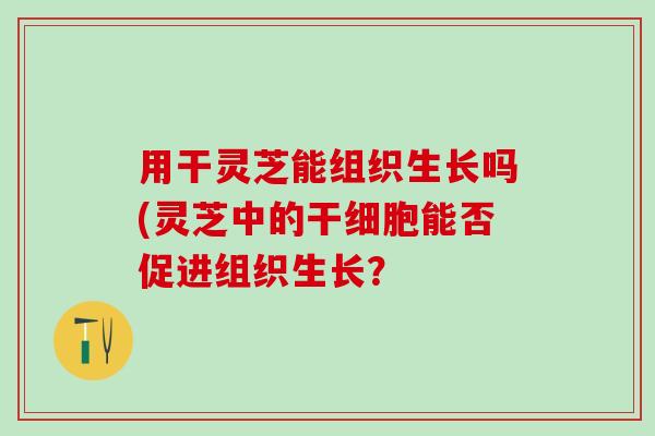 用干灵芝能组织生长吗(灵芝中的干细胞能否促进组织生长? 用干灵芝能组织生长吗(灵芝中的干细胞能否促进组织生长?