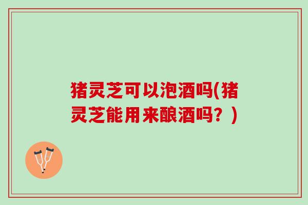猪灵芝可以泡酒吗(猪灵芝能用来酿酒吗？)