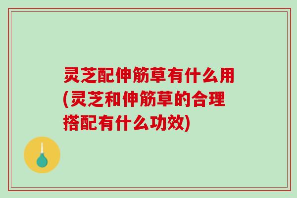 灵芝配伸筋草有什么用(灵芝和伸筋草的合理搭配有什么功效)