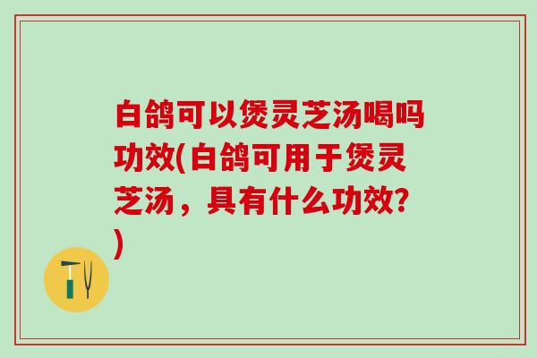 白鸽可以煲灵芝汤喝吗功效(白鸽可用于煲灵芝汤,具有什么功效?) 白鸽可以煲灵芝汤喝吗功效(白鸽可用于煲灵芝汤,具有什么功效?)