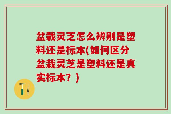 盆栽灵芝怎么辨别是塑料还是标本(如何区分盆栽灵芝是塑料还是真实标本？)