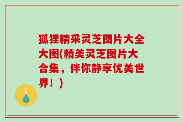 狐狸精采灵芝图片大全大图(精美灵芝图片大合集，伴你静享优美世界！)