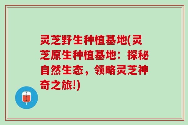 灵芝野生种植基地(灵芝原生种植基地：探秘自然生态，领略灵芝神奇之旅!)