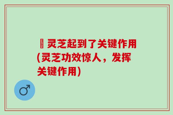 矷灵芝起到了关键作用(灵芝功效惊人，发挥关键作用)