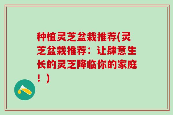 种植灵芝盆栽推荐(灵芝盆栽推荐：让肆意生长的灵芝降临你的家庭！)