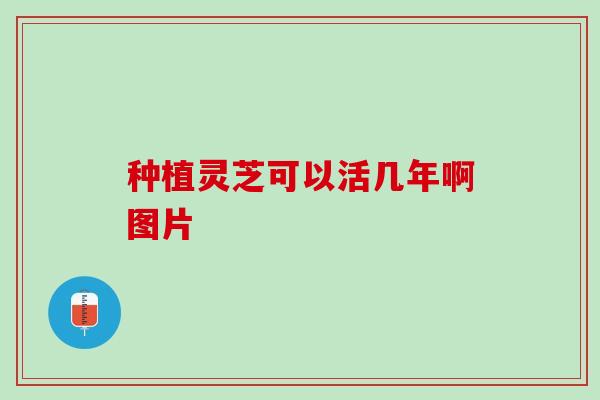 种植灵芝可以活几年啊图片