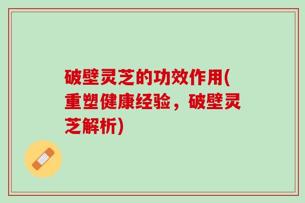 破壁灵芝的功效作用(重塑健康经验，破壁灵芝解析)
