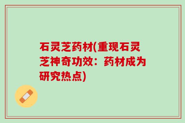 石灵芝药材(重现石灵芝神奇功效：药材成为研究热点)