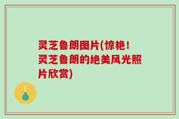 灵芝鲁朗图片(惊艳！灵芝鲁朗的绝美风光照片欣赏)