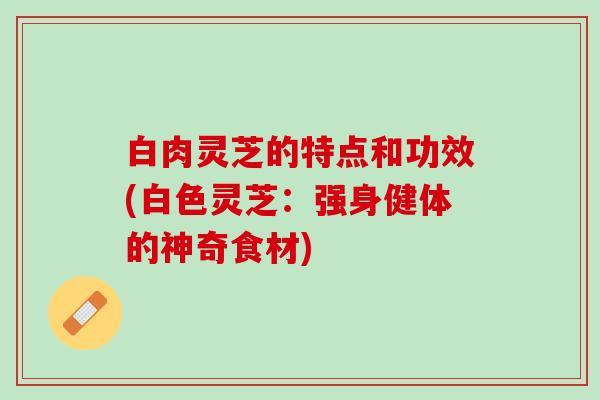 白肉灵芝的特点和功效(白色灵芝：强身健体的神奇食材)