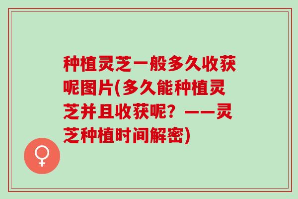 种植灵芝一般多久收获呢图片(多久能种植灵芝并且收获呢？——灵芝种植时间解密)