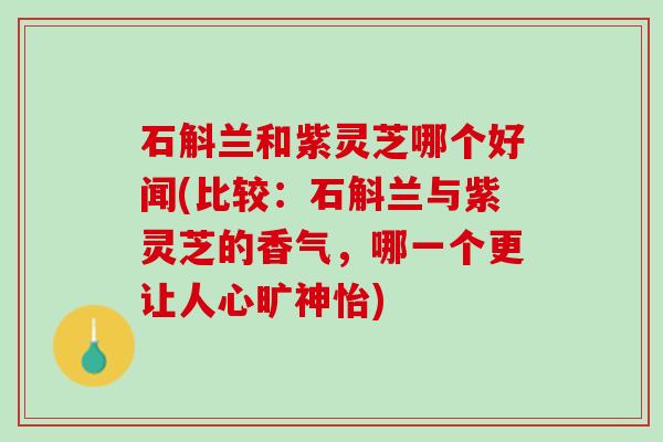 石斛兰和紫灵芝哪个好闻(比较:石斛兰与紫灵芝的香气,哪一个更让人心旷神怡) 石斛兰和紫灵芝哪个好闻(比较:石斛兰与紫灵芝的香气,哪一个更让人心旷神怡)