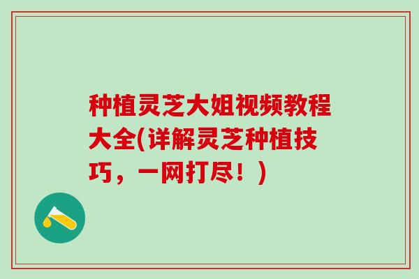 种植灵芝大姐视频教程大全(详解灵芝种植技巧，一网打尽！)