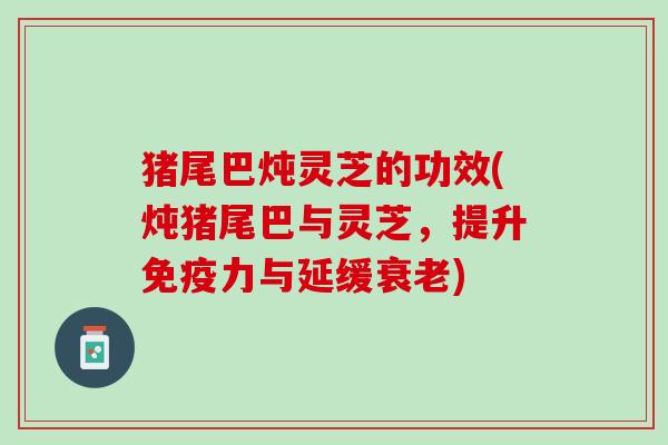 猪尾巴炖灵芝的功效(炖猪尾巴与灵芝，提升免疫力与延缓衰老)