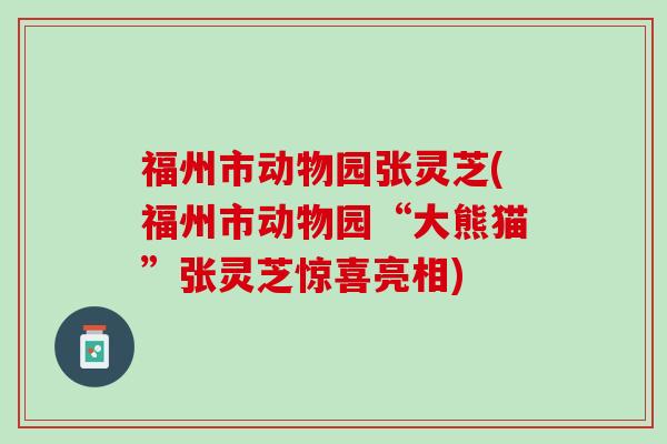 福州市动物园张灵芝(福州市动物园“大熊猫”张灵芝惊喜亮相)