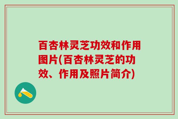 百杏林灵芝功效和作用图片(百杏林灵芝的功效、作用及照片简介)