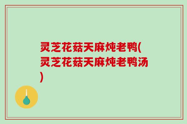 灵芝花菇天麻炖老鸭(灵芝花菇天麻炖老鸭汤)